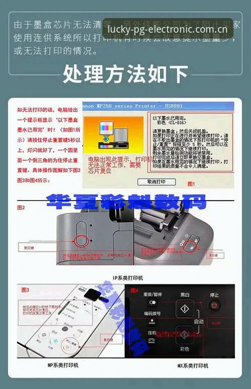 揭秘PG电子老虎机技巧：新手必知的胜率提升真相